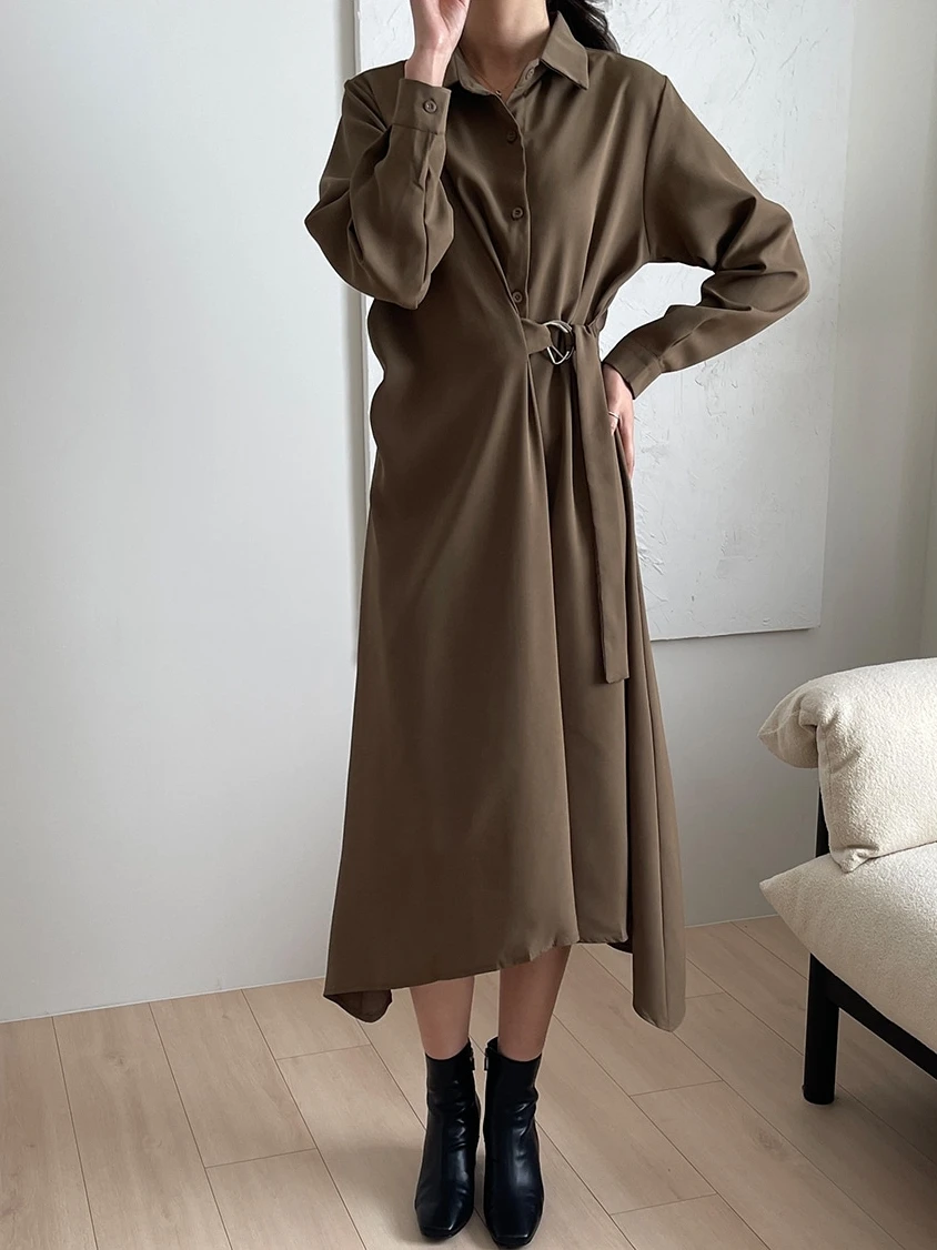 REALEFT Elegant Irregular Women's A-line Dresses 2025 New Long Sleeve Single Breasted Lace-up Casual Loose Shirts Dress Female