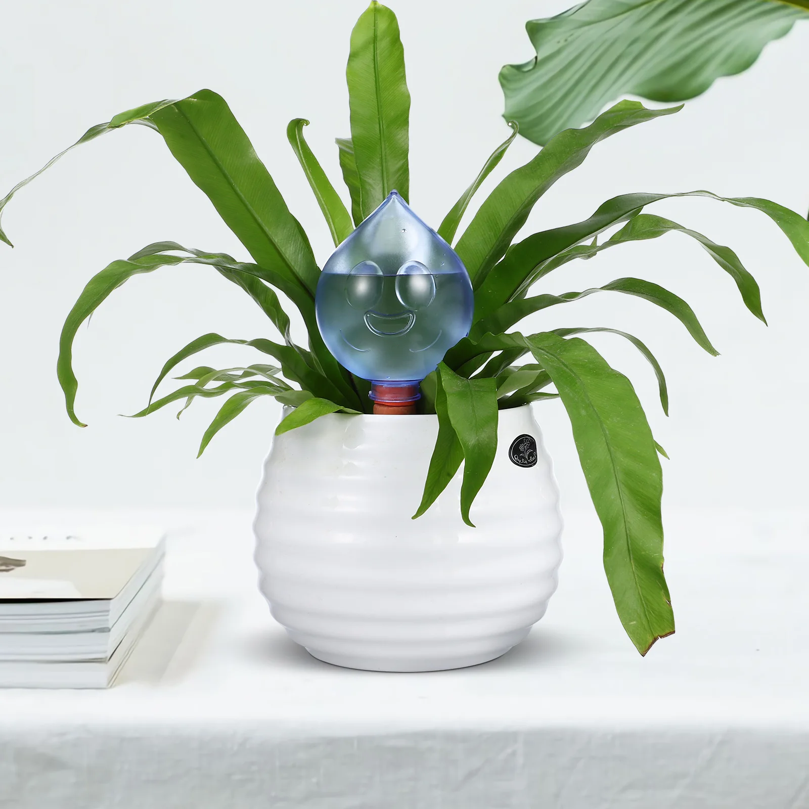 

3 pcs Automatic Device Smile Face Design for Indoor Plants Garden Planter Bulb Green Blue Pink Self Watering