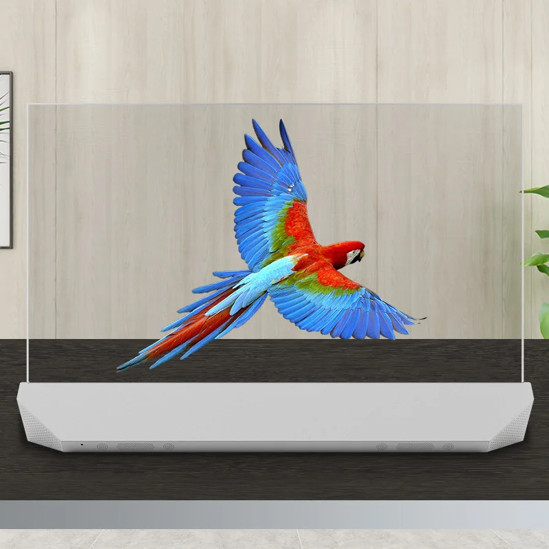 Desktop Smart Touch Screen Transparent Oled TV Screen High Definition Oled Transparent Display