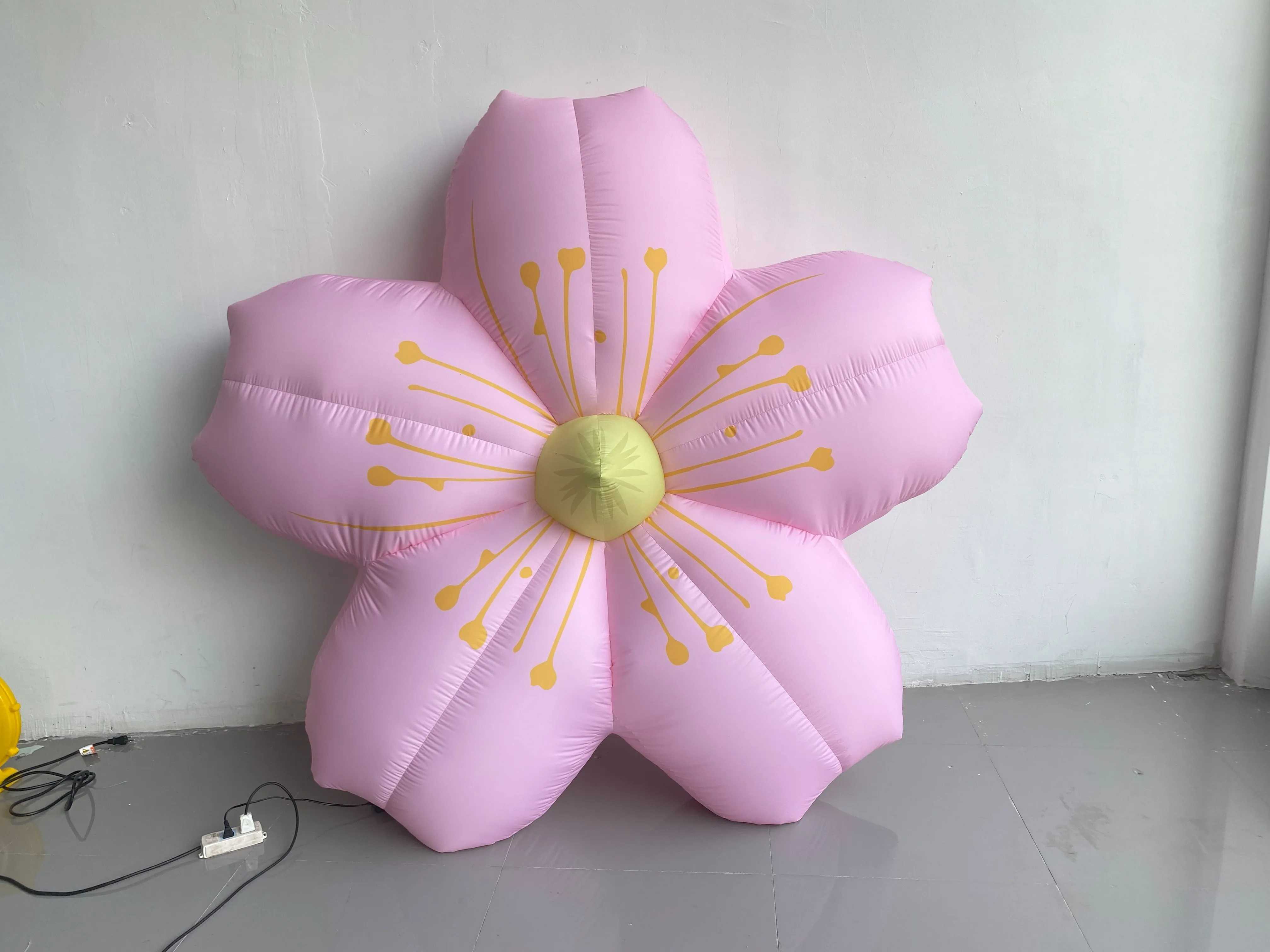 

Дополнительные сборы за перевозку, дополнительная плата.