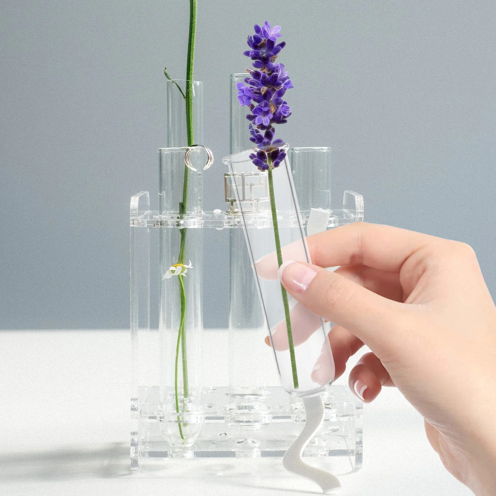 5 Pcs Glass Tube Test Vase Office Terrarium Flower Tubes Plant Propagation Clear