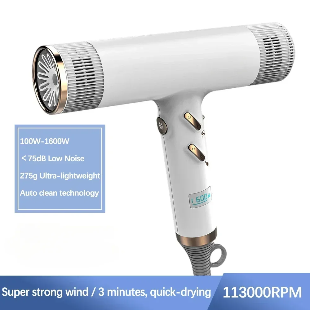 2024 Professional Hair Dryer 1600 W 113000 RPM High Power Salons Hair Dryers Brushless Motor Low Noise Household Hair Dryer