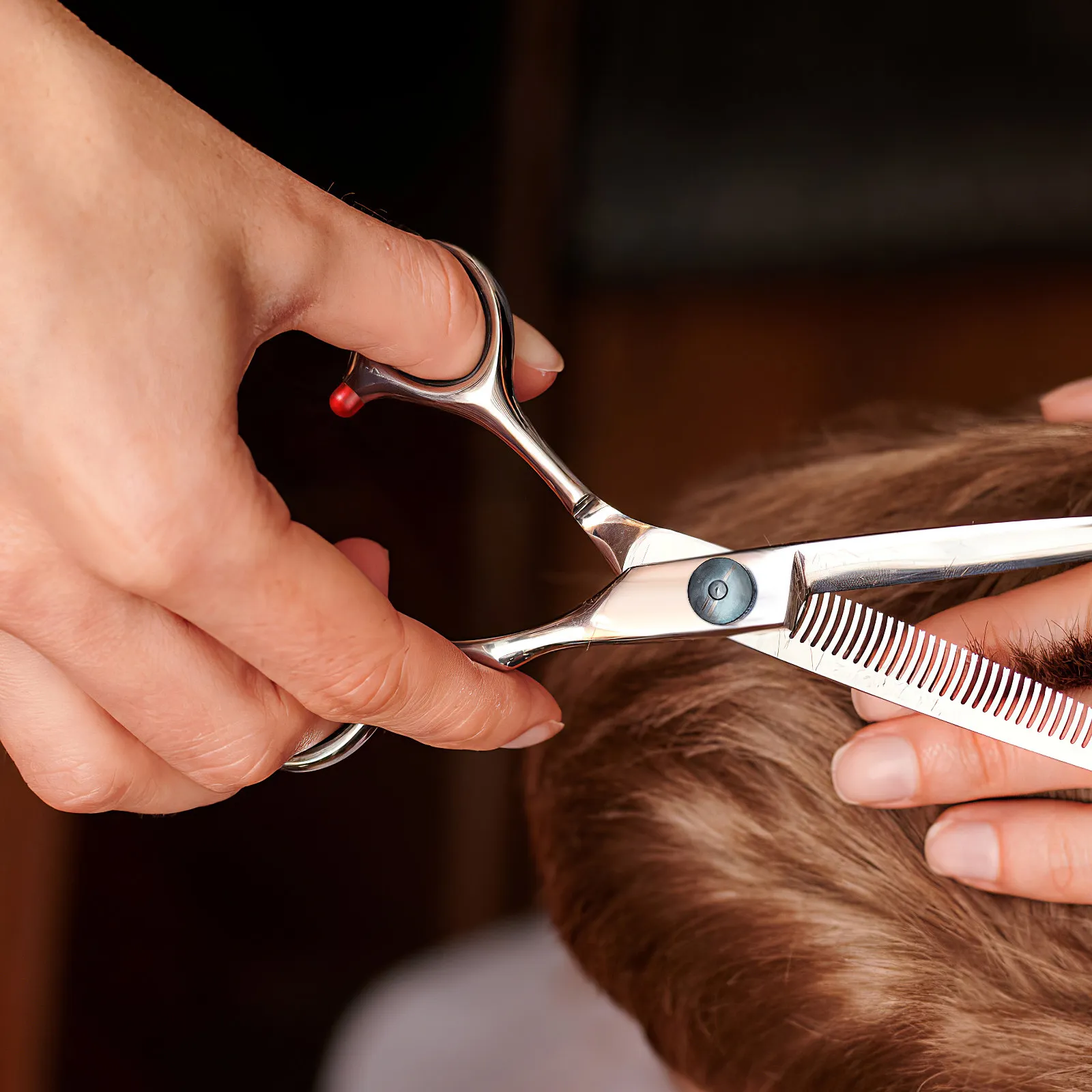 10Pcs Hair Scissors Silencers Noise Mufflers Practical Replacement Accessories for Salon Barber Scissor Accessories