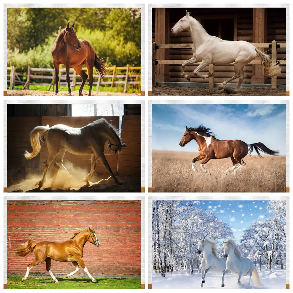 

Wild Horse Ranch Backdrop Western Countryside Desert Farmland Saloon Saddle Travel Party Tapestry Portrait PhotographyBackground