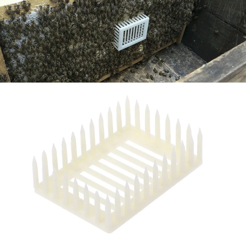 

Queen Bee Cages Plastic Livestock Beekeeping Equipment Tool for Isolation PP Material New Used Condition Applicable for Farm