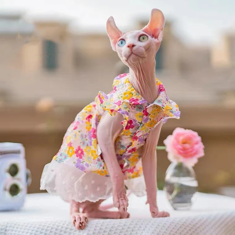 Sphinx Pet Cat Floral Dresses Princess Clothes For Sphynx Cat Kitten  Suspender Flower Lace Skirt Devon Rex Summer Spring Autumn