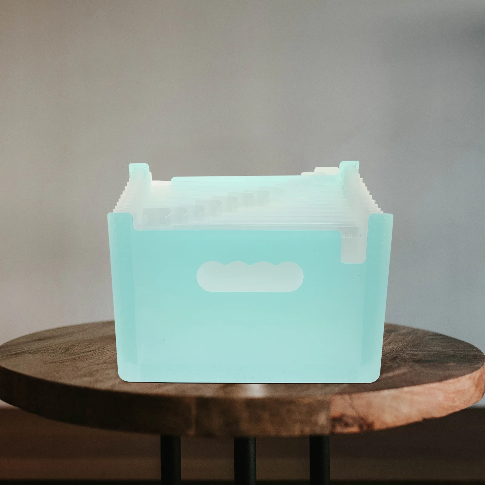 

Office Receipt Organizer Portable Coupon Holder Pp File Folder Multi-Function Document Voucher Card Holder Foldable