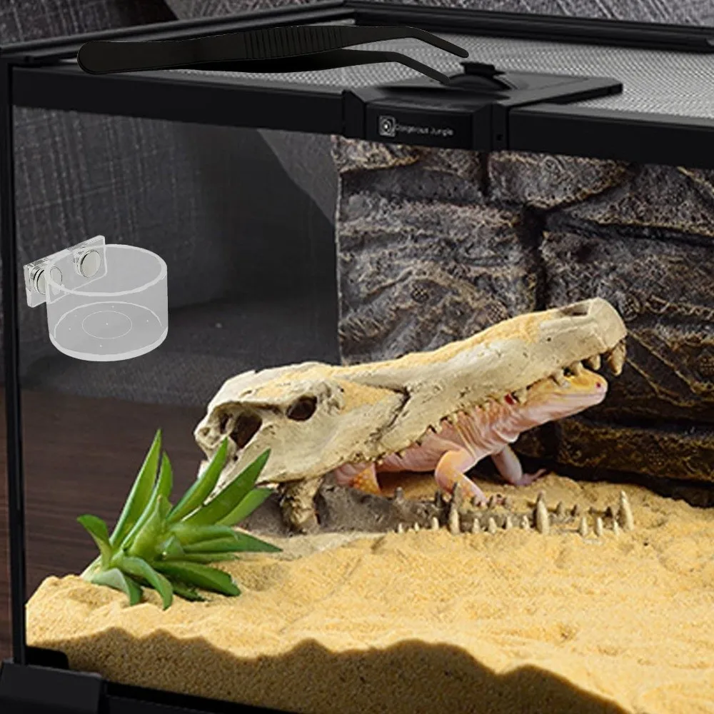 Thumbnail 3 - #18 Trending Reptile Water Bowls Right Now