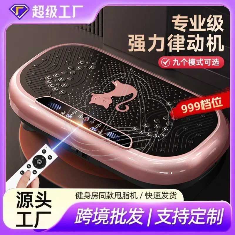 Home Vibration Fitness Platform Exercise Machine Indoor Body Training Shaker Board for Home Gym Workout Use