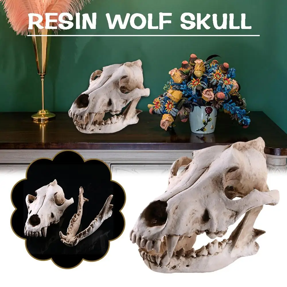 

Wolf Skull Model Resin Craft Ornament Halloween Party Detachable Ornaments Collection Film Home Crafts Garden Props Decorat O9H3