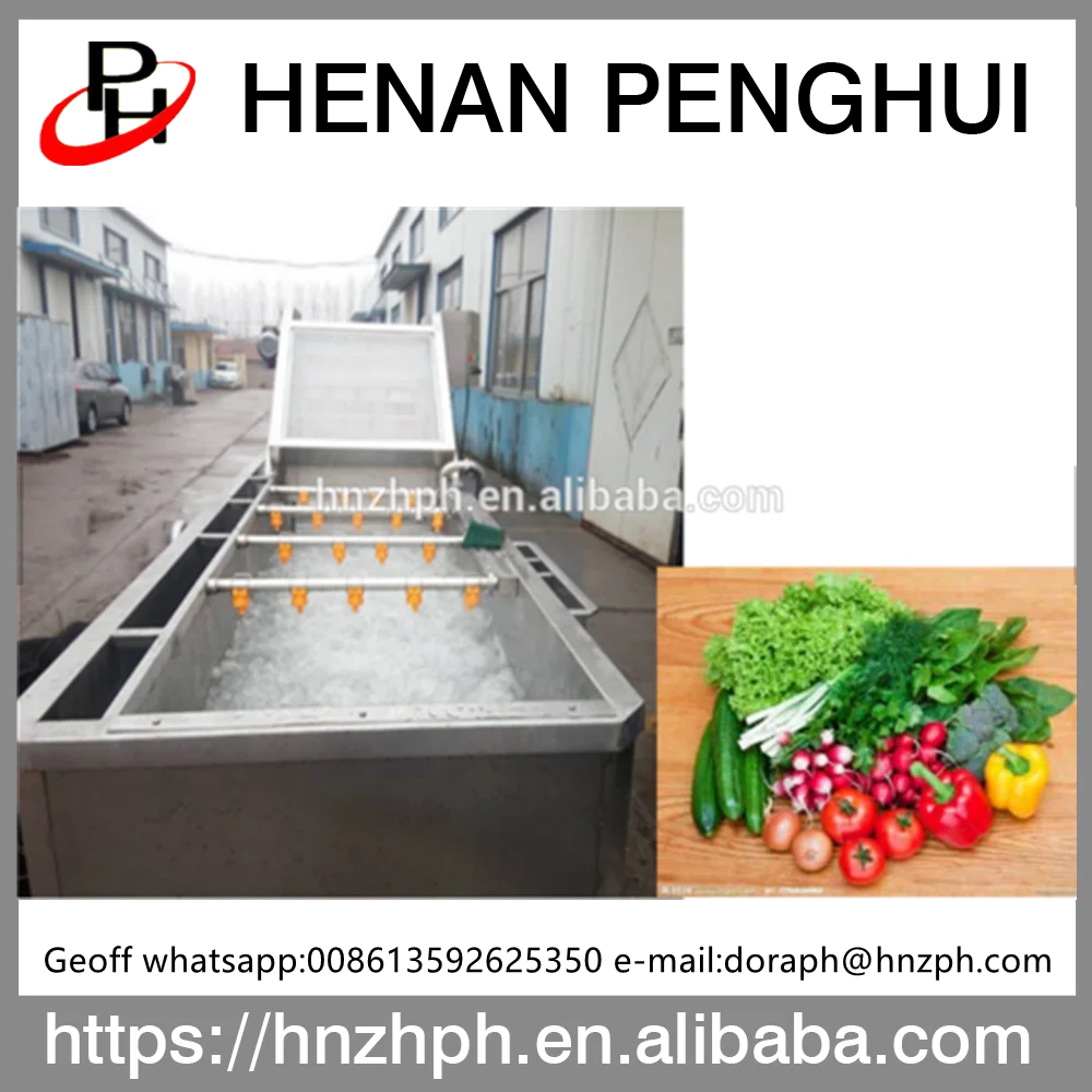 High Quality Industrial Fruit and vegetable Washing Machine Price