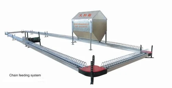 Livestock Widely Used Automatic Poultry Farming Chain Feeder System chickens Hen Chain Feeding Line System