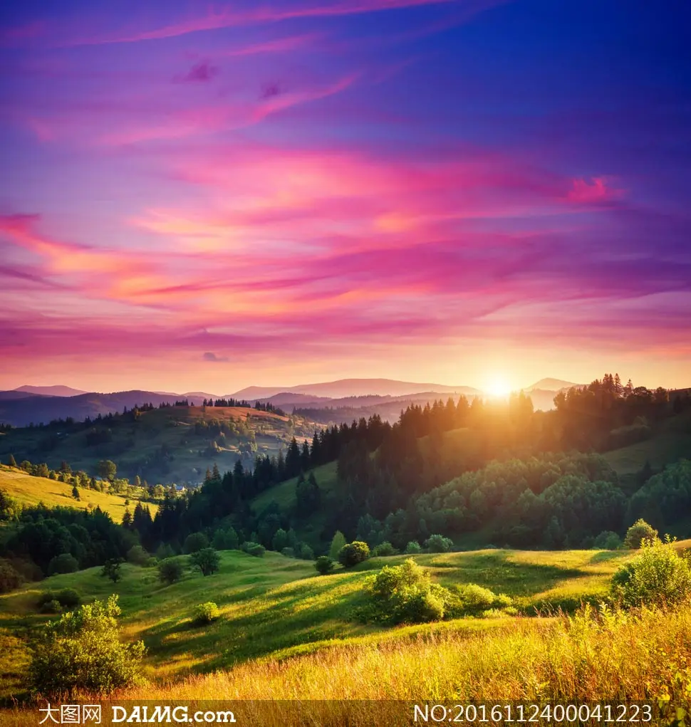 2 قطعة 12-13 مللي متر بكرة توجيه مزدوجة 95423 قطع غيار ألومنيوم خفيفة الوزن لطراز سيارة Tamiya Mini 4WD