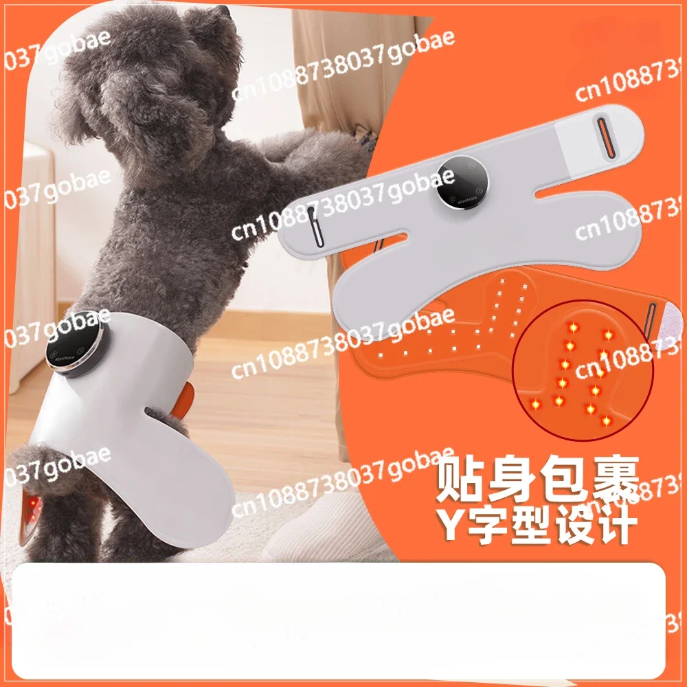 Xingjiakang Starchoice Pet Hind Limb Back Physiotherapy Instrument Elderly Fracture Cat Dog Rehabilitation Daily Necessities