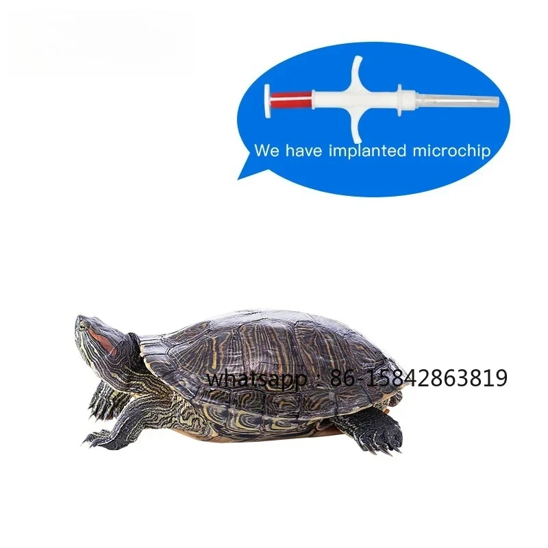 70pcs 1.25*7/1.4*8/2*12mm EM4305 Microchip 2.12*12mm Vet Rfid Syringe for Animals Id Tracking