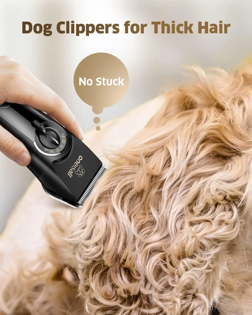 Dog Clippers for Grooming Doodles Poodles Thick Curly Hair Low Noise Heavy Duty Dog Grooming Kit with Detachable Metal AliExpress