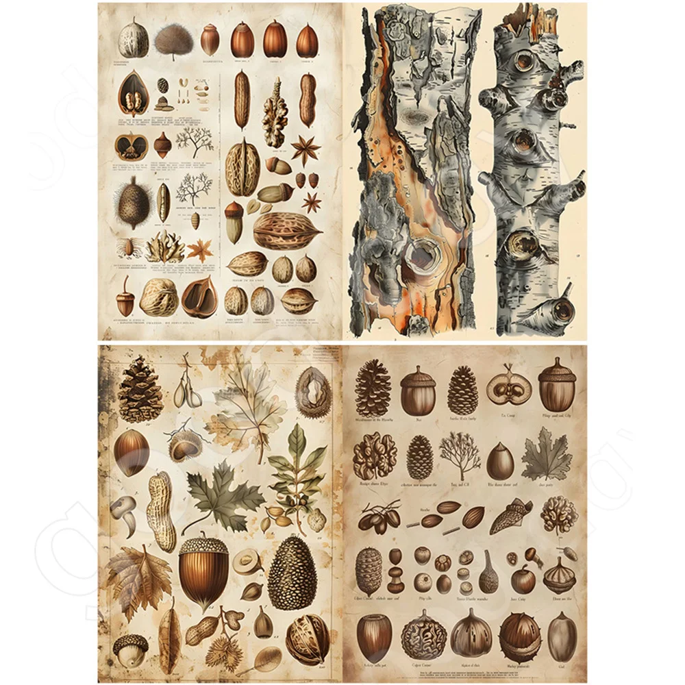 Botanical world 10 sheets material paper vintage do old dead tree nut pattern handbook DIY notebook background paper diary album view 2
