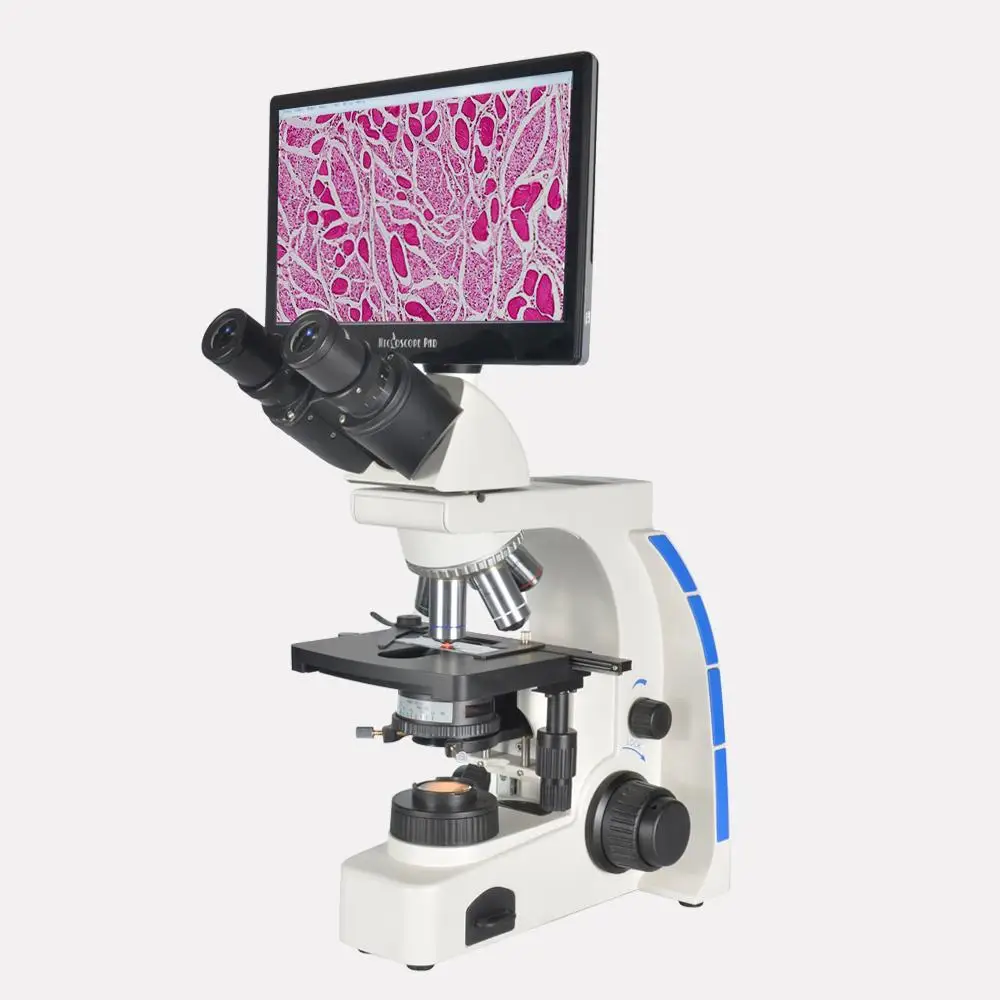 

Cheap Price Laboratory Equipment Digital Optical System Biological Trinocular Microscope With Camera