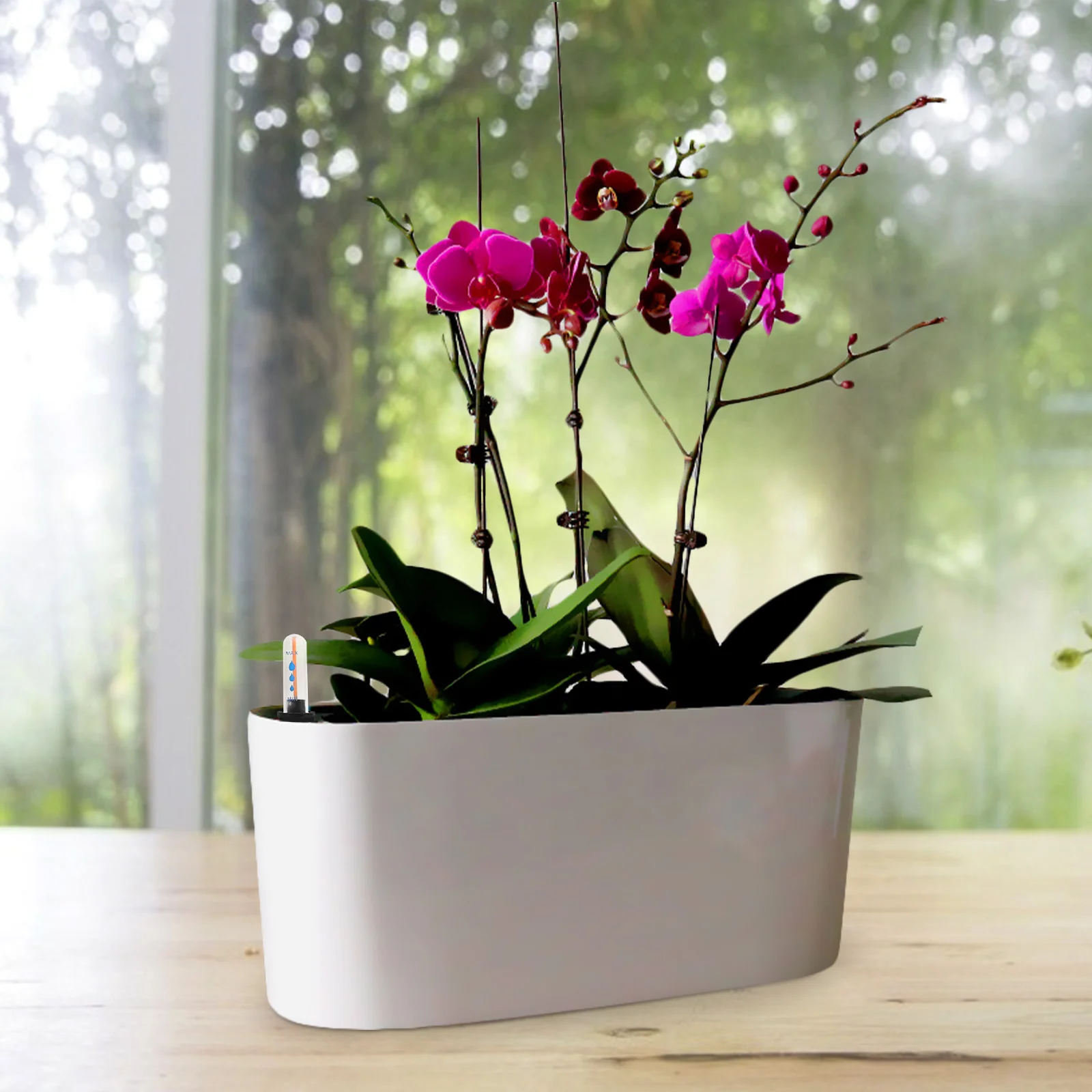 Medidor de nivel de agua, probador duradero para plantas, diseño de boya, escala transparente, indicador de tanque de plástico, 5 uds.