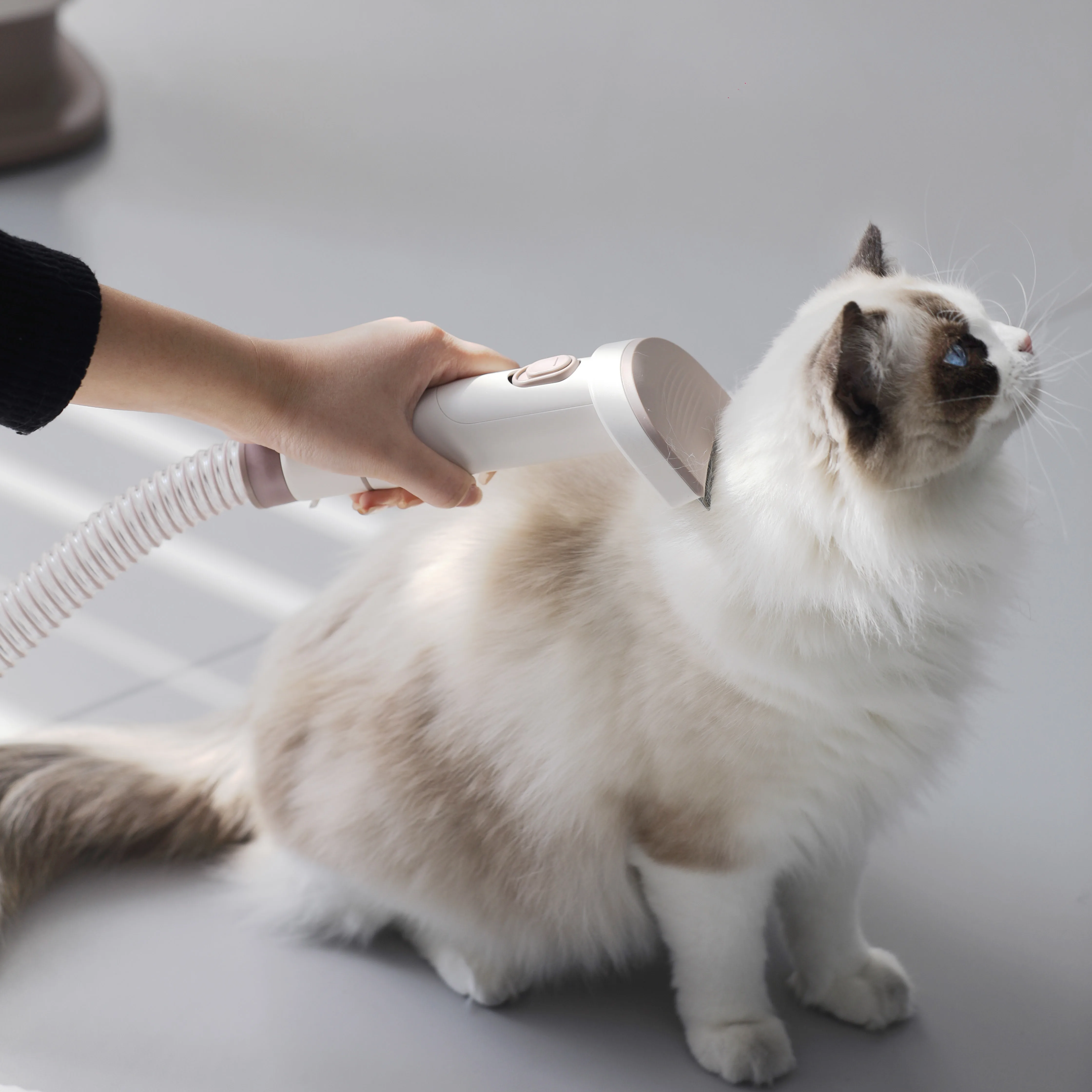 3L 대용량 저소음 애완 동물 진공 청소기 전기 머리 손질 개 고양이 브러쉬 키트