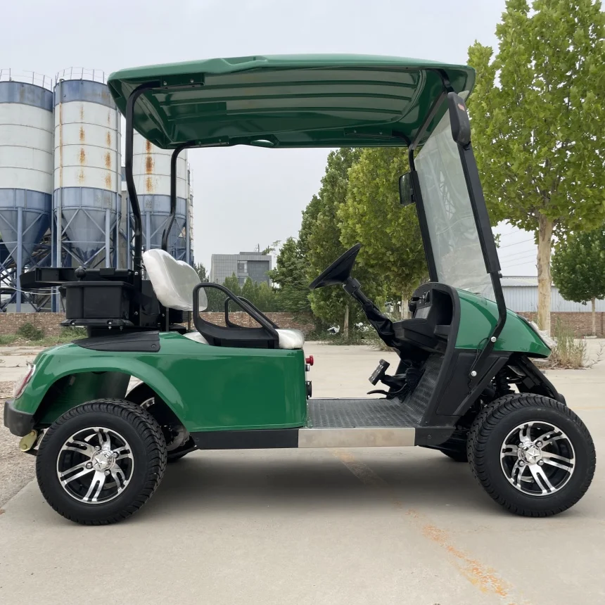 Honoured Guests Electric Golf Cart Electric Smart Design 2+2 Passenger Gas Or Battery Powered Golf Cart With Roof Ambient Light