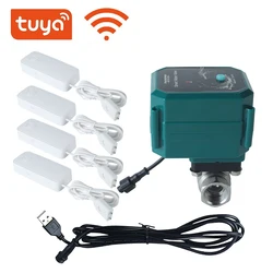 Tuya WIFI Irrigation Solenoid Water Valve Stainless Steel Pipe DN15(1/2