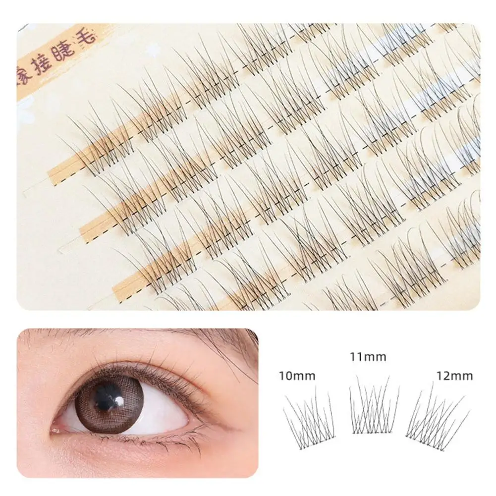 Leichte falsche Wimpern, natürlicher Look, einzelne Cluster, DIY-Wimpernverlängerung, transparenter Terrier, segmentierte Cluster-Wimpern