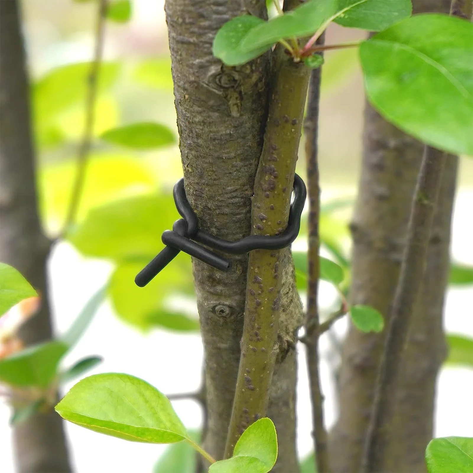 Laço de jardim revestido para vegetais, Laços de borracha reutilizáveis Suporte de planta, Laços torção, Fácil operação, Cabos, 20m