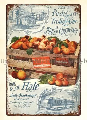 tin sign 1890s Push-cart Trolley Car Fruit Growing South Glastonbury CT peaches