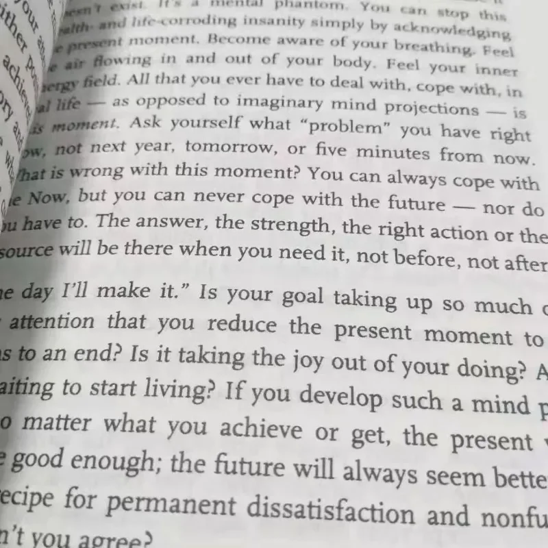 The Power of Now par Eckhart LAS le, Guide de l'illumination spirituelle, Livre anglais pour les jeunes, Inspirant le succès, Motivation, Nettoyage