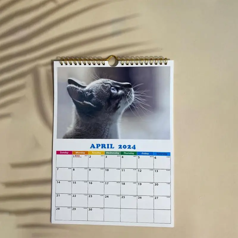 Animals Calendar 2024 Funny Daily Cat Calendar A4 Wall Calendar Dog Calendar Daily Wall Decor For Apartment Dormitory Classroom