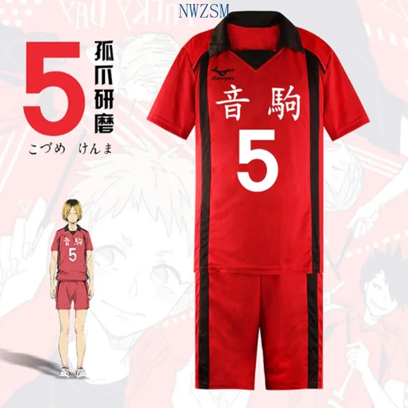Anime Haikyuu Costume Cosplay Karasuno High School Pallavolo Club Hinata Shyouyou Abbigliamento sportivo Jersey Uniforme Haikyuu Nekoma