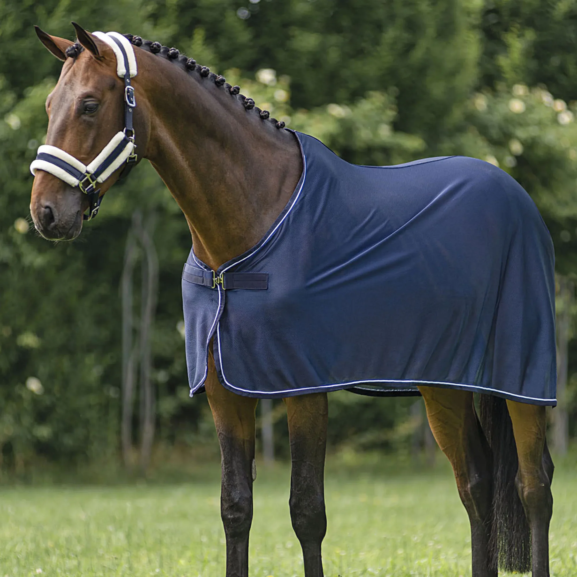 

Wholesale Equestrian Equipment Customize Equine Blanket Breathable Mesh Horse Rug High Quality Horse Sheet for Summer