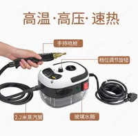 2500W 110V 220V High Pressure And Temperature Handhled Steam Cleaner For Air Conditioner Kitchen Hood Car Steaming Cleaner