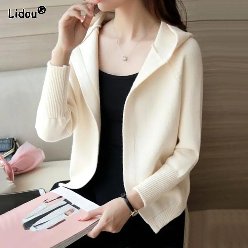 Thick Solid Casual Sweaters Cardigan Korean Loose Autumn Winter Women\'s Clothing 2022 Comfortable Simple Hooded Supple Elegant