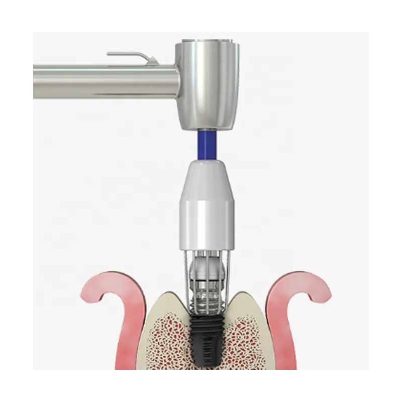 Original Neobiotech R-Brush Dental Implant Surface Decontamination Titanium Brush Tooth Implant Cleaning Dental Surgical Tools