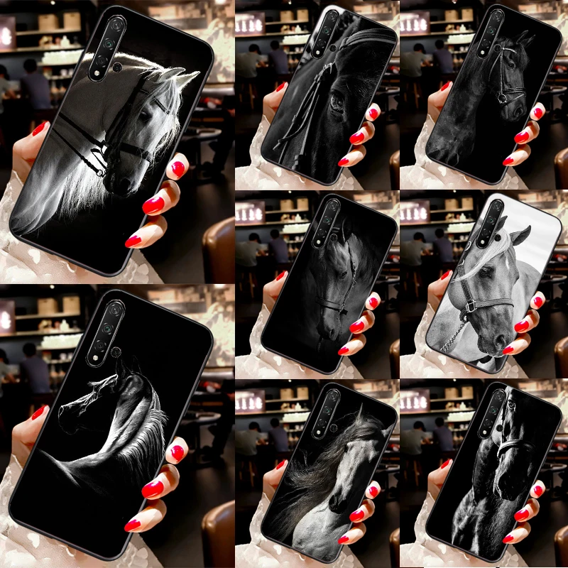 Black White Horse F… - image