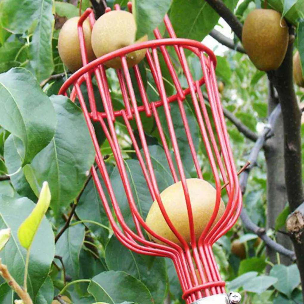 Anti-Corrosão Fruit Picking Tool, Cesta resistente a corrosão e impacto, Cesta Picker Red