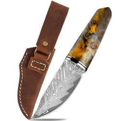 Damascus straight knife Portability Sharp Damascus Steel Paring Knives Outdoor Survival Camping Knife with Leather Sheath