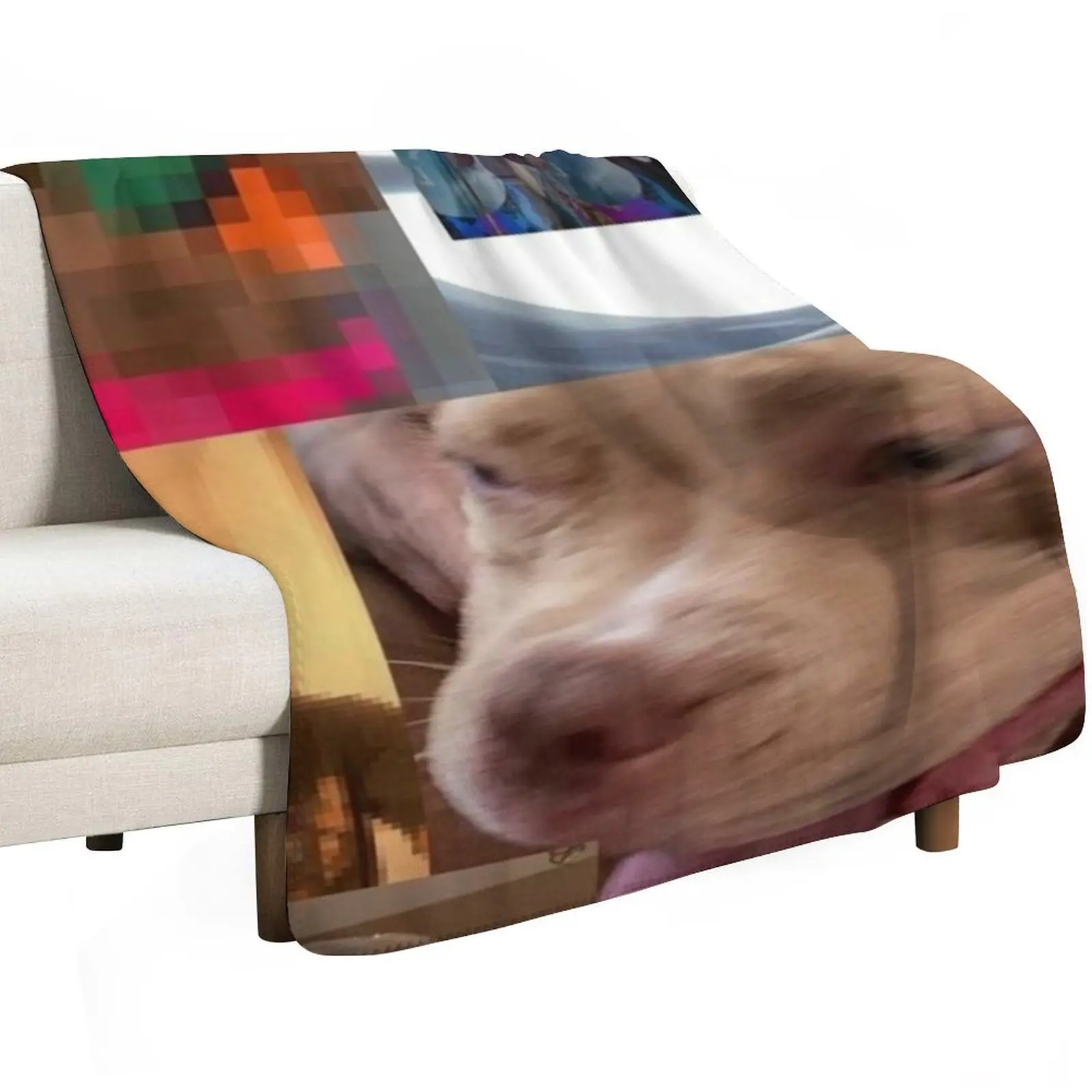 The Lo-Fis- Steve Lacy Album Throw Blanket Picnic Luxury Decoratives Single heavy to sleep Multi-Purpose Blankets