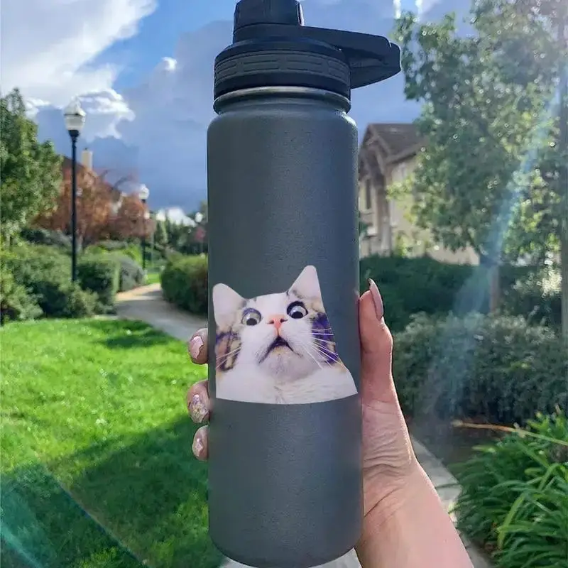 

2pcs 2pcs Scaredy Cat Stickers - Funny Cat Decals in 2 Sizes Funny Cat, Funny Cat Decal, Cat Decal