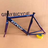 GRAY RAIN Fixed Gear Bike Frame Aluminum Alloy Material With fork Fixie Frameset Fits 700C Wheels Cycling Parts