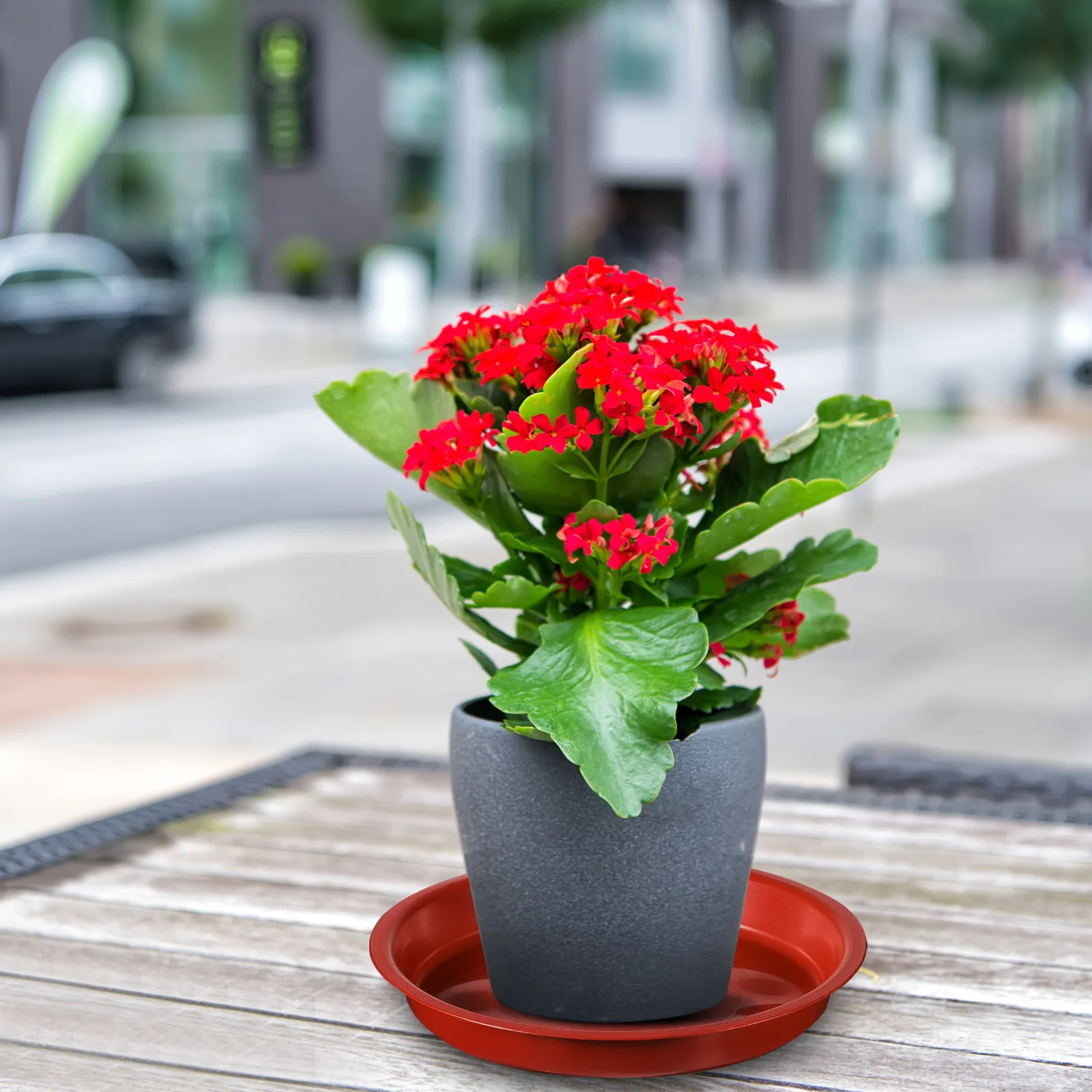 

5Pcs Plastic Flower Pot Base Saucers Durable Round Plant Trays for Indoor Outdoor Use Plant Saucer Pot Saucers for Plants