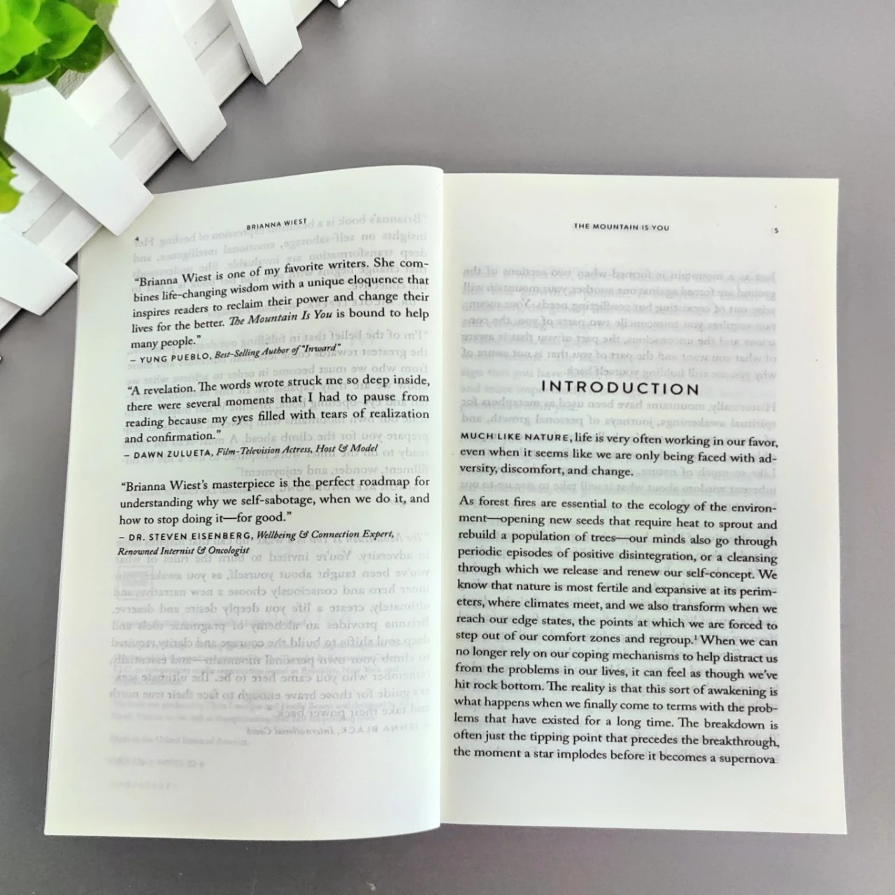 The Mountain Is You: Transforming Self-Sabotage Into Self-mastery English Books