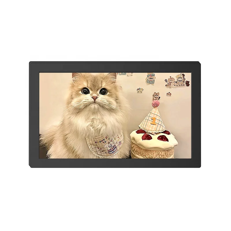 15.6'' Smart Digital Cloud Photo Frame with Touch Screen and Wifi Multi-Format Video Playback Private Model