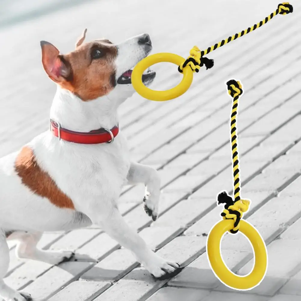 Dog Toy Good Toughness Teeth Cleaning Pet Chew Toys Creative Interactive Training Rubber Pet Toy With Rope Pull Ring For Puppies