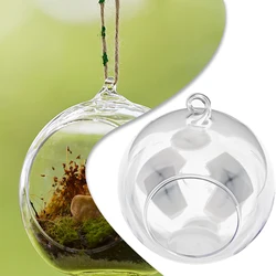 Hanging Glass Ball Vase Succulent Eco Vase Plant Terrarium Micro Landscape Container Flower Pots Home Wedding Party Decor