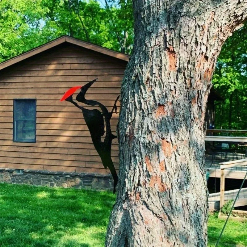 1pc Woodpecker On Branch Steel Silhouette Metal Wall Art - Perfect for Birthdays, Housewarming Gifts & Outdoor Decor