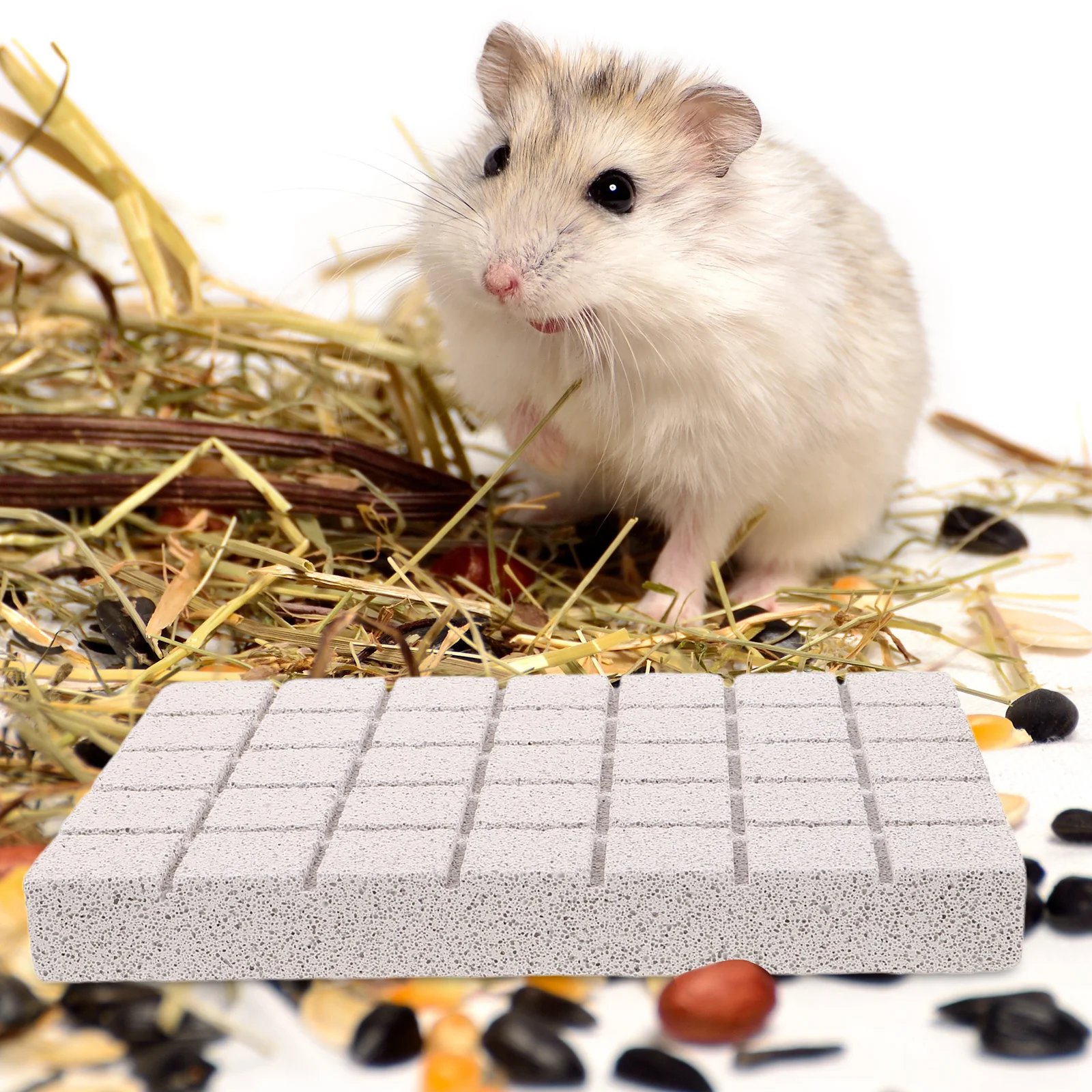 

5Pcs Volcanic Stone Pet Nail File Pads Small Animal Claw Grinding Rabbit Guinea Pig Chinchilla Hedgehog Paw Comfort Scratch