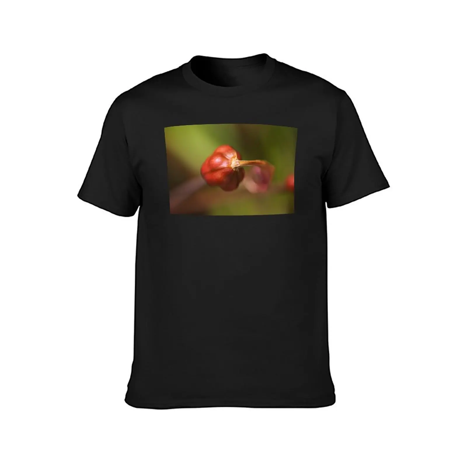 Lily Flower Seed Pod Red T-Shirt anime plain men clothes